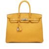 006D5A4B-E9C1-304B-220A-C2D4FE4F26F5.jpg Birkin 25 Jaune Ambre Togo Palladium Hardware
