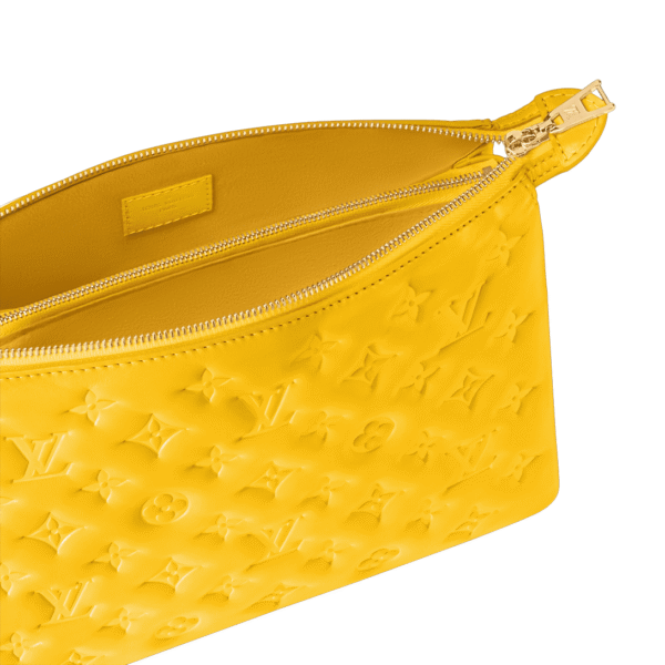 02D6C788-FBDF-72E5-3BCE-D47E26A0E6E8.png Louis Vuitton M20378 Coussin PM