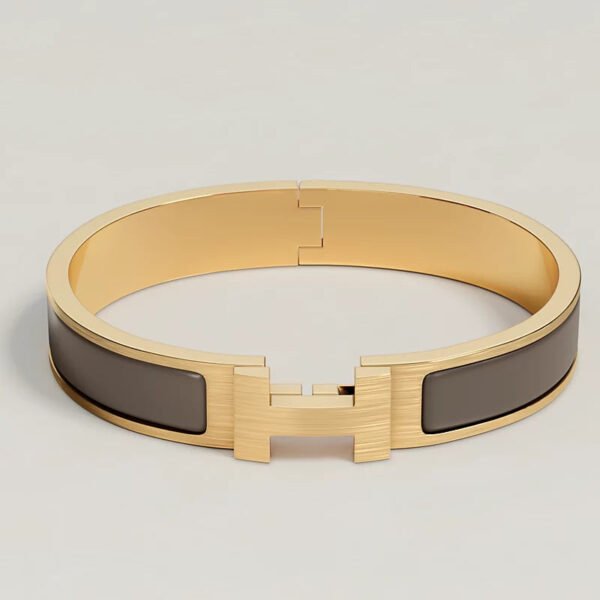 035EC522-13E6-13D5-6EE5-460F1268152A.jpg Hermes Clic HH bracelet