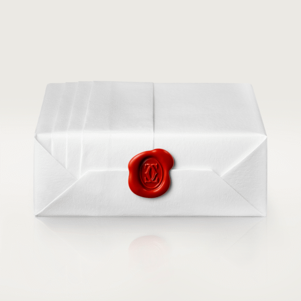 0425E251-3069-F0C3-8915-75C8A1630954.png LOVE NECKLACE