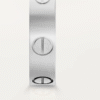 0553E8D1-D6D5-01A2-3984-A20F6F1FE0E3-1.png LOVE WEDDING BAND