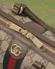 0685635B-6940-C1F3-25A2-6C13158FB1B7.jpg Gucci Ophidia GG Mini