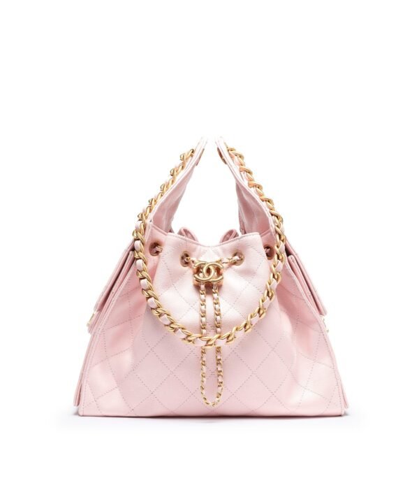 074780FC-2070-8493-B4E0-DF6BCDA1A0E7.jpg CHANEL 25 small bag(Pink)