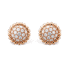 09A1A81F-CDAF-6EE4-28B2-F36FF008F19D.png Perlee diamonds earrings