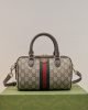 0A187CFF-573C-62D4-142D-E2B104E39265.jpg Gucci Ophidia GG Mini