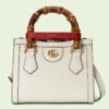 DIANA MINI TOTE BAG