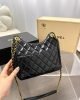 0C461F2D-E17E-8128-77E0-977D114777F1.jpg Chanel 23C Hobo New Gold Coin Bag
