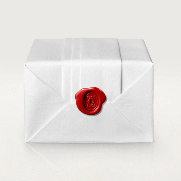 0CBB7DAB-BBE0-79B8-695E-BD8E1188FE3A.png LOVE NECKLACE, 2 DIAMONDS