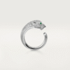 0F4549D0-1C51-737C-F159-8ED4FE38E740.png PANTHERE DE RING