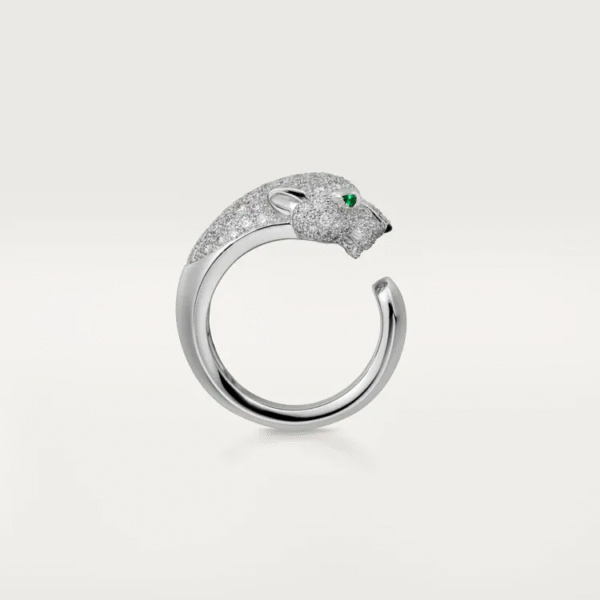 0F4549D0-1C51-737C-F159-8ED4FE38E740.png PANTHERE DE RING