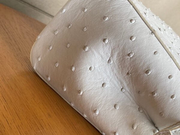 107A6F8C-1E5B-AE28-75B2-C21B38BD2A51.jpg Fendi Peekaboo Mini Bag