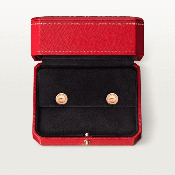 11C885F6-8188-1361-20D8-B3309BDCBF69.png LOVE EARRINGS