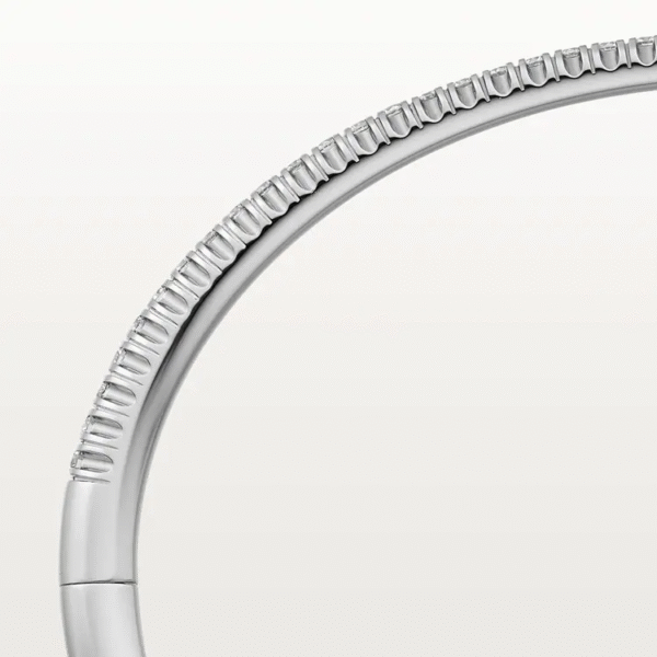 129F72F6-D5D8-DCC4-4654-E212E6961EB2.png ETINCELLE DE BRACELET