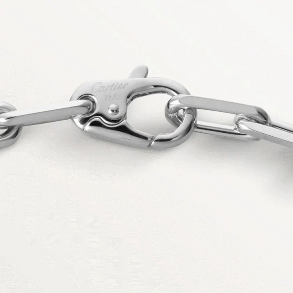 12B997E7-BB71-C3B5-9A56-059A0DD27D8B.png SANTOS DE BRACELET