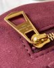 Louis Vuitton M46197 CarryAll MM