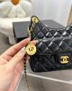 141933C3-7A3C-3B8E-D6F5-4A0B7B339634.jpg Chanel 23C Hobo New Gold Coin Bag