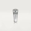 PANTHERE DE RING