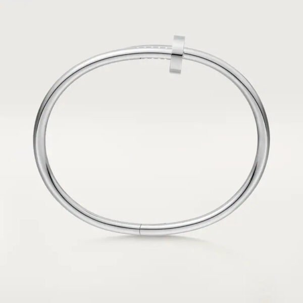 14E4F09D-35DC-F07A-BA1F-41A406722C4F.jpg JUSTE UN CLOU BRACELET