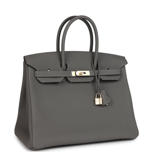 Birkin 30 Handbag Grey Togo with Gold Hardware