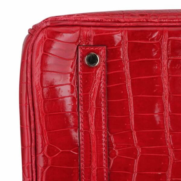 175D8301-4B07-3770-B28A-C0EEB27223D9.jpg Birkin 35 Bag Braise Porosus Crocodile with Gold Hardware