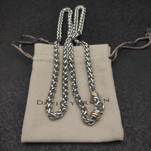 17D17EF9-841A-4ADE-A328-B9620D58B45C.jpg Petite Buckle Necklace Sterling Silver with 14K Yellow Gold - 55CM