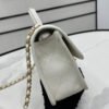 Chanel AS3653 22K Bag White For Women, Women&rsquo;s Bags 9.8in/25cm