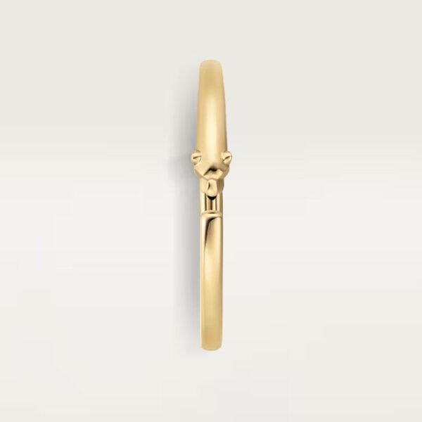 18F99D78-9D09-2E75-4239-62F1EF488903.jpg PANTHERE DE BRACELET