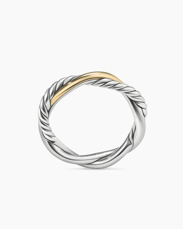Petite Infinity Band Ring Sterling Silver with 14K Yellow Gold, 4mm