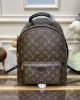 1D94E321-4AF4-7608-87DA-30C244703E1D.jpg Louis Vuitton Palm Springs MM M44874