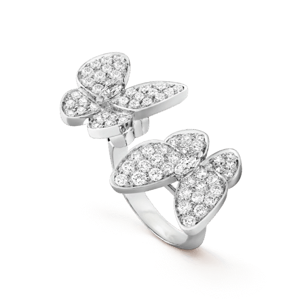 Two Butterfly Between the Finger ring