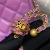 Chanel Hobo Handbag Purple Bag For Women 16cm/6in
