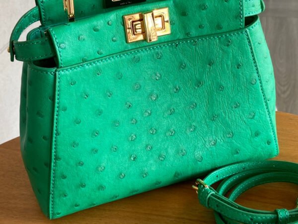 22FFD4F1-0973-39B2-DD30-8509485A2198.jpg Fendi Peekaboo Mini Bag