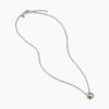 Petite Chatelaine Necklace Sterling Silver with 18K Yellow Gold Dome, 10mm