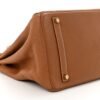 Birkin 25 Taurillon Clemence Gold Hardware