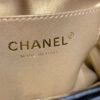 Chanel Hobo Handbag Black Bag For Women 16cm/6in