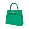 2979079C-B069-C18F-E17A-FC845048F091.jpg Kelly Retourne 25 Bag Menthe Togo Gold Hardware New w/Box