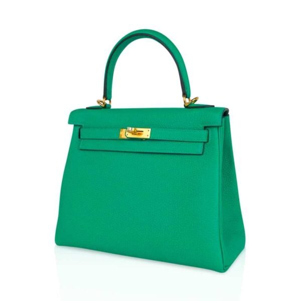 2979079C-B069-C18F-E17A-FC845048F091.jpg Kelly Retourne 25 Bag Menthe Togo Gold Hardware New w/Box