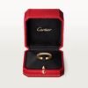 2A13B248-59FD-1DE0-9DED-378AA4A3D5D7_c8985ed5-1f1c-4e36-8046-e49fa82c2701.jpg LOVE RING, SMALL MODEL