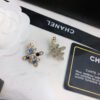 2AB096AB-BCBC-5344-7276-6DE12D003769.jpg cc Earrings