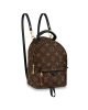 2B088056-3662-3E8E-88D9-C12ABB4CA694.jpg Louis Vuitton Palm Springs Mini M44873