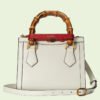 DIANA MINI TOTE BAG