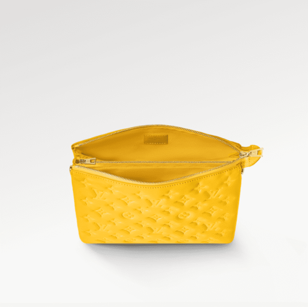 329EA893-C01B-F5CE-F183-B1A1A12DB040.png Louis Vuitton M20378 Coussin PM