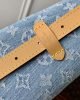 Louis Vuitton CarryAll PM M11462