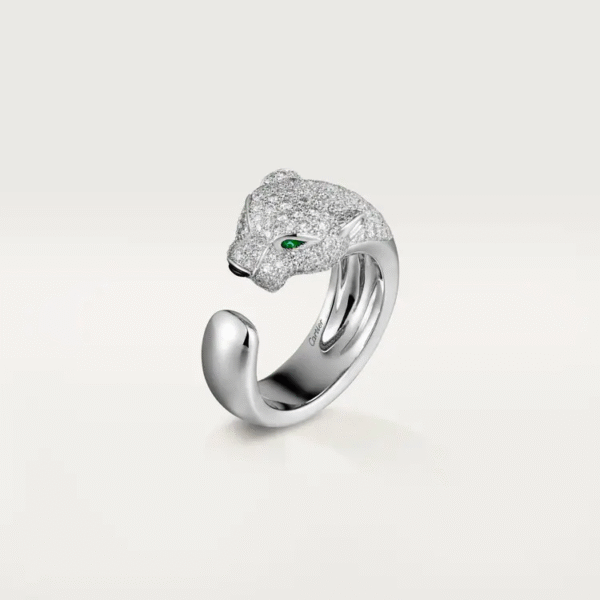347009F6-50D2-427D-1E79-EBE845BB6652.png PANTHERE DE RING