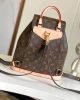 3491BA0E-726C-8DFB-B48F-33817521B6D9.jpg Louis Vuitton Montsouris PM M11198