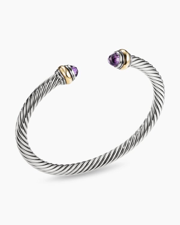 38E23C3E-8683-BFF0-043F-EB273CCD5E4E.jpg Classic Cable Bracelet Sterling Silver with 14K Yellow Gold and Amethyst, 5mm