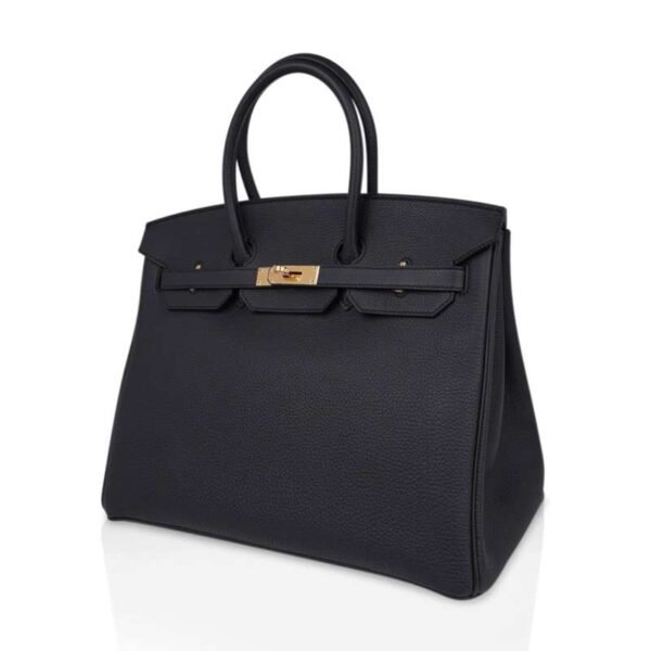 Birkin 25 Bag Plomb (Off Black) Togo Leather with Gold Hardware