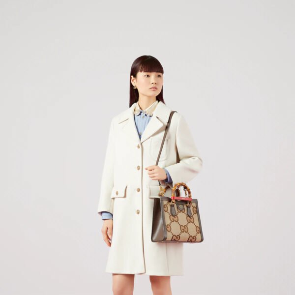 DIANA JUMBO  SMALL TOTE BAG