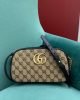 3BE06ED7-2FCD-DD36-D19E-AB56FB4C3815.jpg Gucci Marmont Canvas Camera 24x13cm