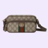 3EEE0409-B8D1-E774-2A4D-F01F01FD5B75.jpg OPHIDIA MINI BAG